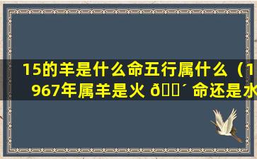 15的羊是什么命五行属什么（1967年属羊是火 🌴 命还是水 🕷 命）